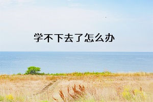 學不下去了怎么辦
