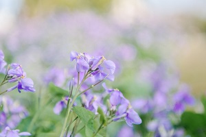 規范答題