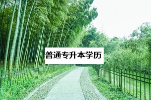 普通專升本學歷含金量高嗎？普通專升本學歷和本科一樣嗎？