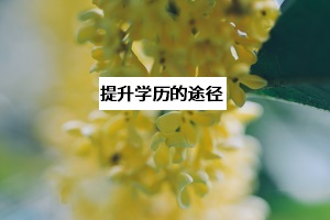 想要提升學歷，除了普通專升本，還有什么較好的途徑？