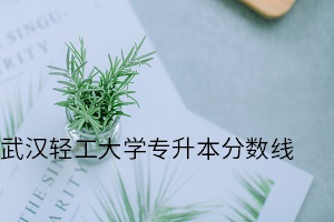 武漢輕工大學專升本分數線
