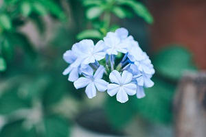 擴招后報考人數是否會激增？