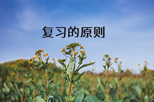 復習的原則