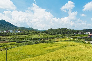畢業證書的區別