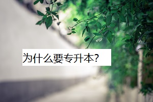 為什么要專升本？