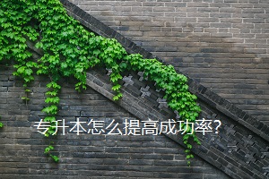 專升本怎么提高成功率？
