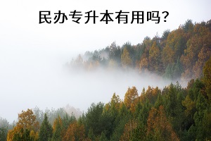 民辦專升本有用嗎？