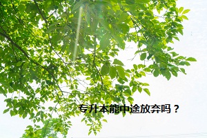 專升本能中途放棄嗎？