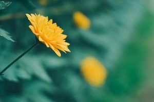 精做真題，查缺補漏