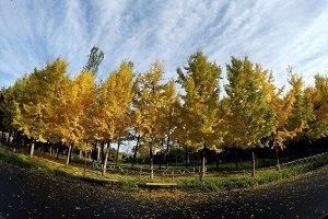 大專第三年才開始準備普通專升本考試來得及嗎？該如何備考？