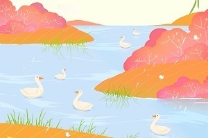 基礎不太好能報考專升本嗎？專升本什么時候開始準備比較好？