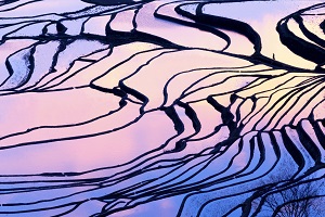 年制區別