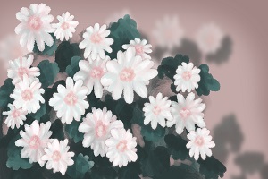 能否報考？