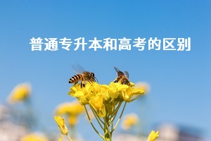 普通專升本和高考之間有什么差別？哪個更難考？
