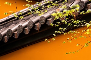 普通專升本備考的第一步是先擇校還是先選專業？
