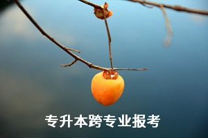 全日制統招專升本考試能跨專業報考嗎？有何限制？