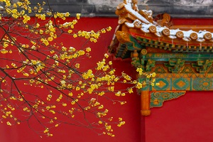 全日制普通專升本和本科有區別嗎？哪些地方是不同的？