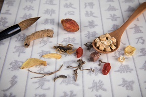 湖北中醫藥大學專升本專業