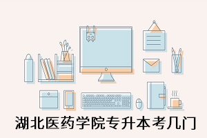 湖北醫藥學院
