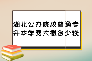 湖北公辦院校普通專升本學費大概多少錢？