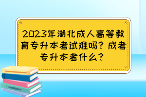 2023年湖北成人高等教育專升本考試難嗎？成考專升本考什么？