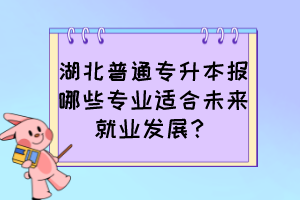 湖北普通專升本報哪些專業適合未來就業發展？