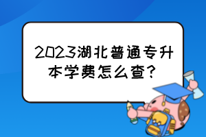 2023湖北普通專升本學費怎么查？