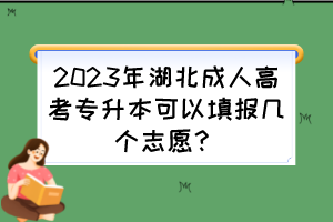 2023年湖北成人高考專升本可以填報幾個志愿？