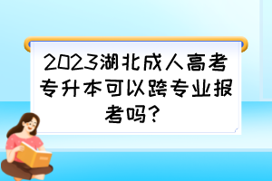 2023湖北成人高考專升本可以跨專業報考嗎？