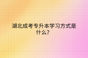 湖北成考專升本學習方式是什么？